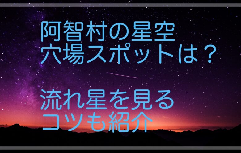 阿智村で日本一の星空を個人で見る穴場スポットは？プロに聞いた流れ星を見るコツも紹介